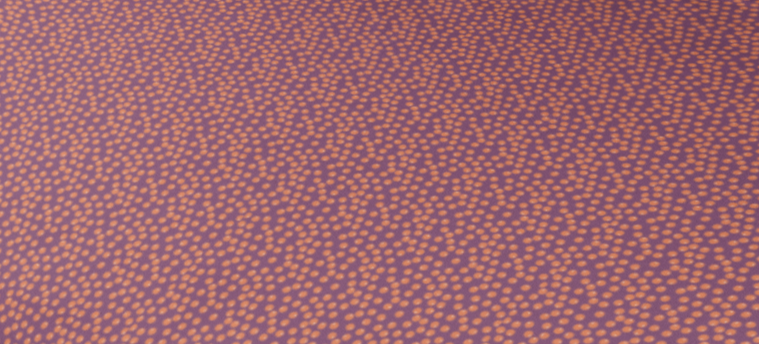 Rustic Rose Dots – Queen Size Bedding Set